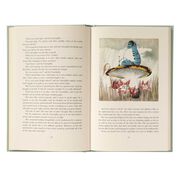 Alice in Wonderland: slipcase edition